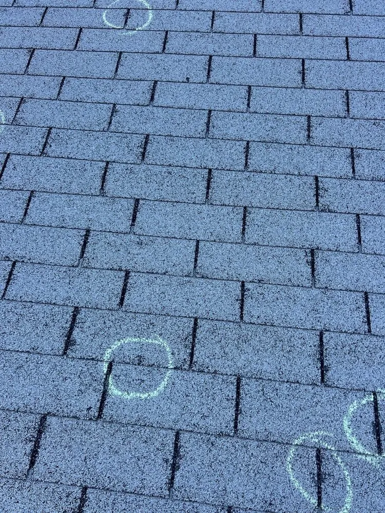 Slide of MDZ Roofing