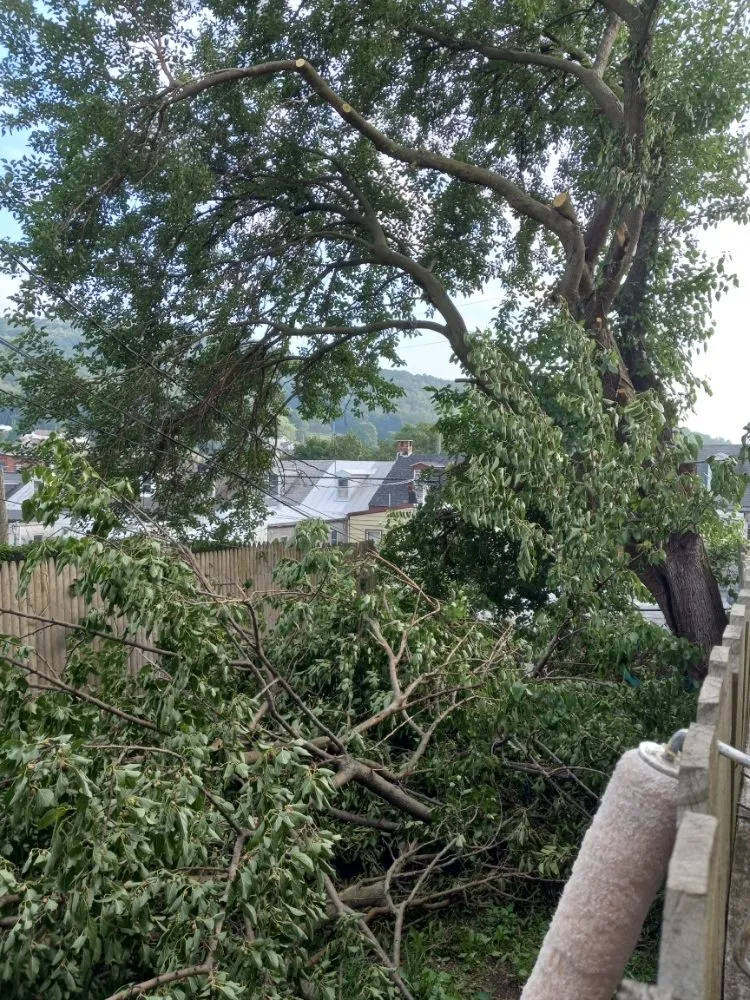 Slide of M&E Comes in Handy