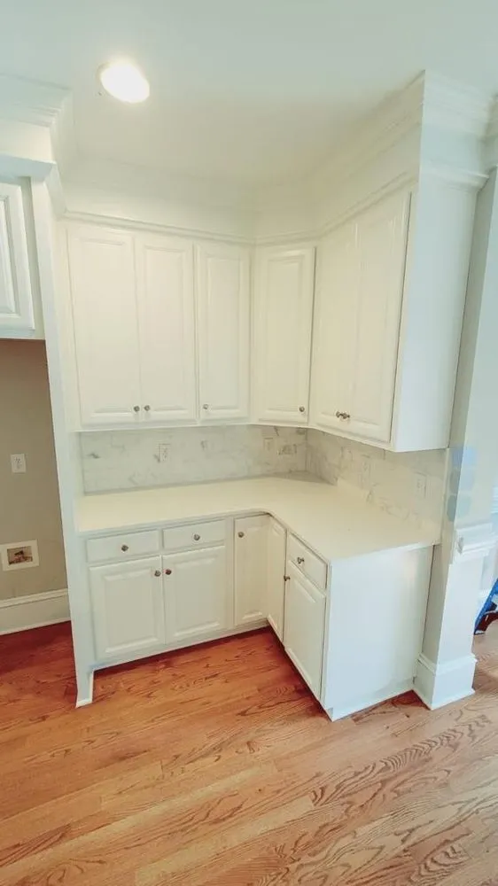 Slide of Melgar Painting