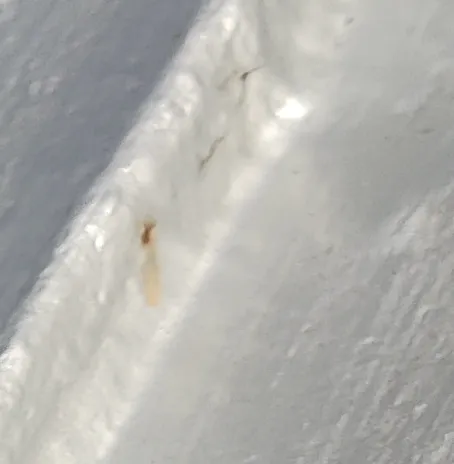 Slide of Melvin T Morgan Roofing