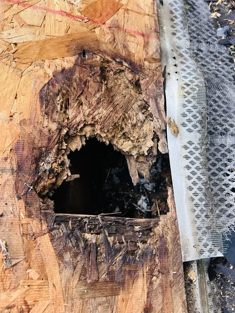 Slide of Memo Contractor