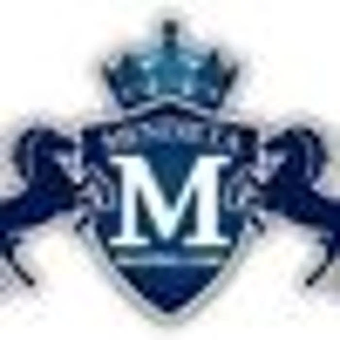 Slide of Mendieta Roofing