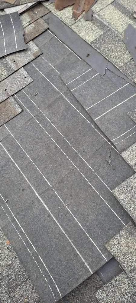 Slide of Mendoza & M  Roofing