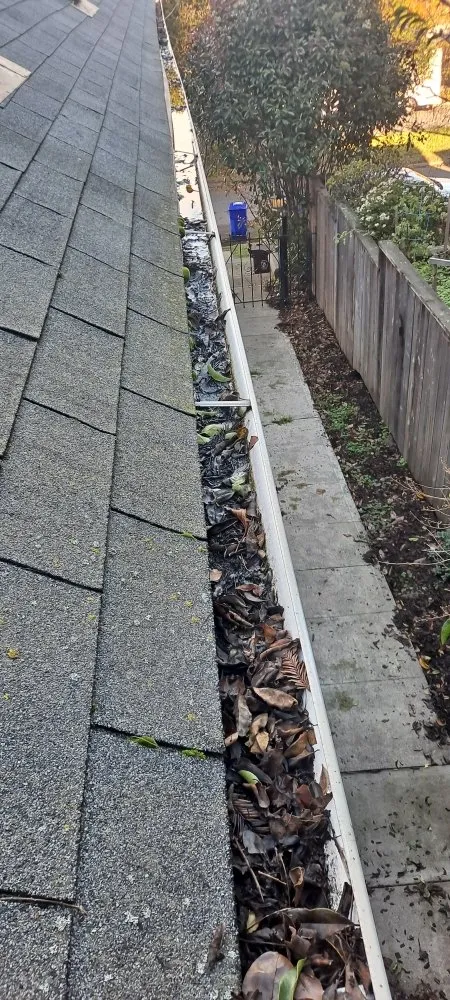 Slide of Mendoza & M  Roofing