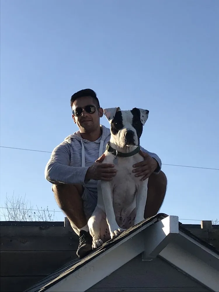 Slide of Meraki Construction