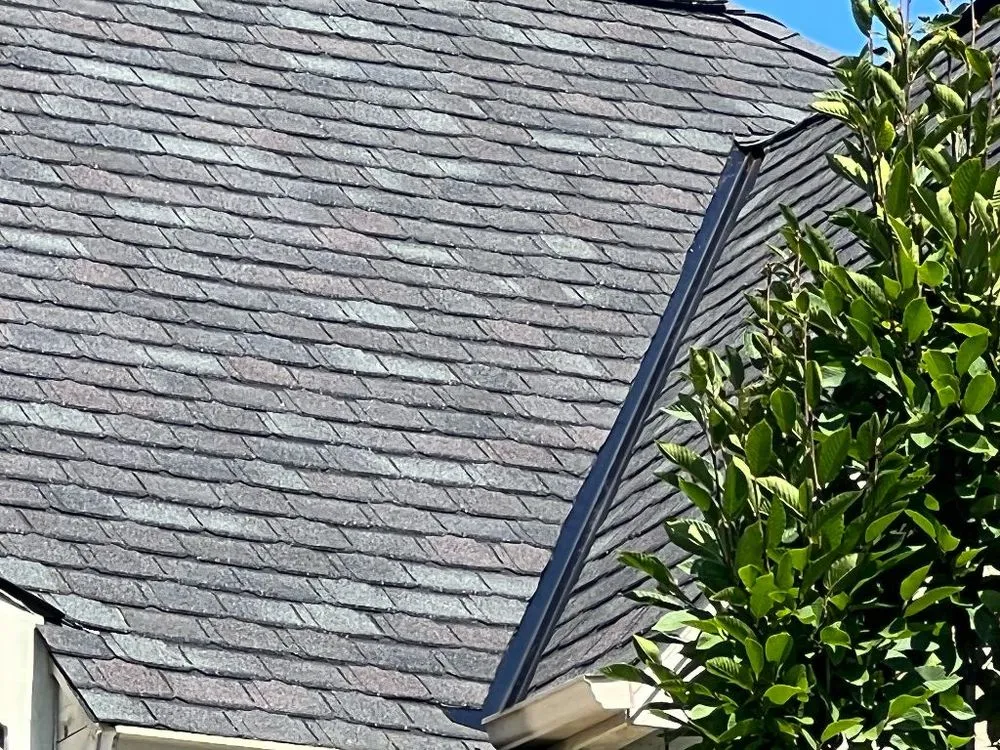 Slide of Meridian Restoration