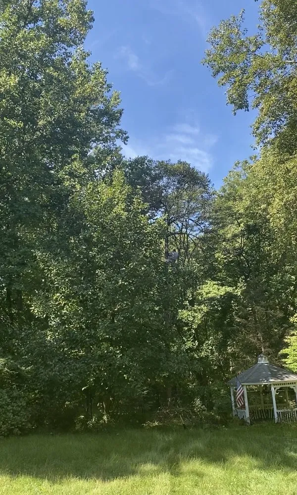 Slide of Mervin Construction