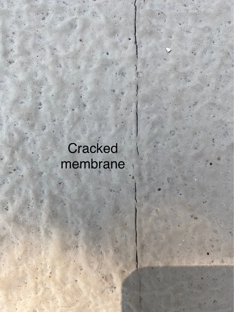 Slide of Metacrylics