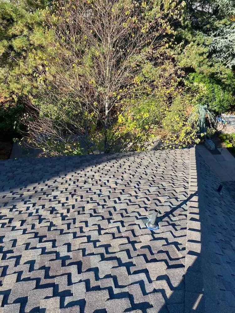 Slide of Metal Roofing