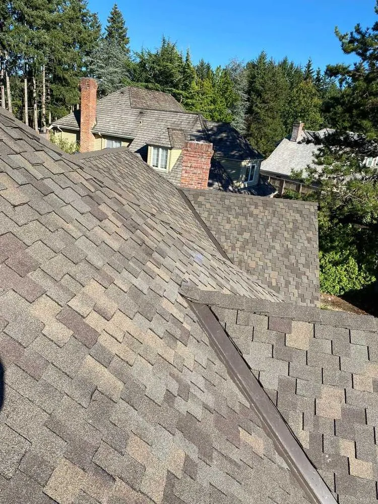 Slide of Metal Roofing