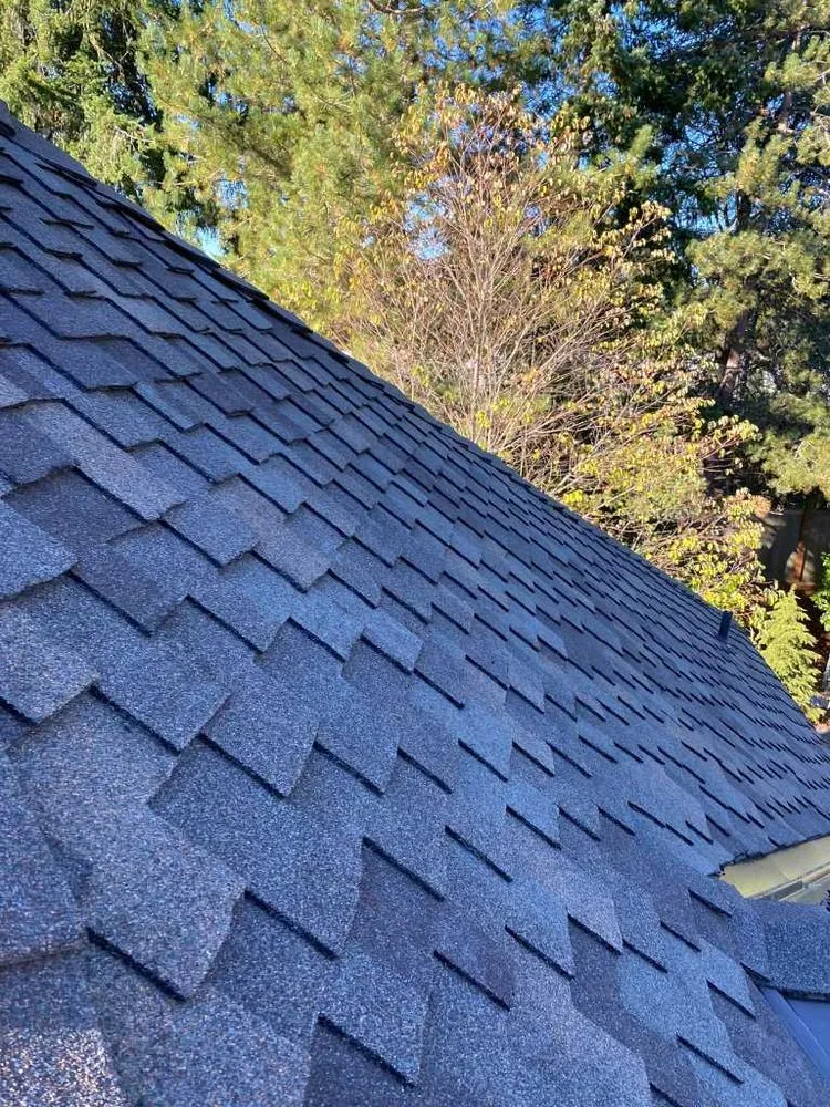 Slide of Metal Roofing