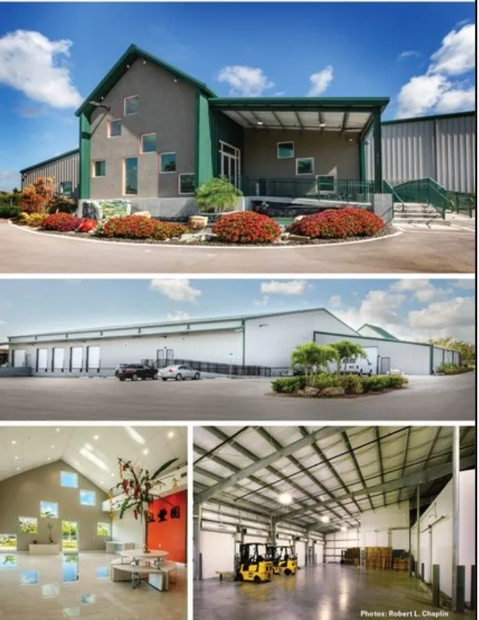 Reliable residential roofing service in Lithia, FL - MetalMax Buildings