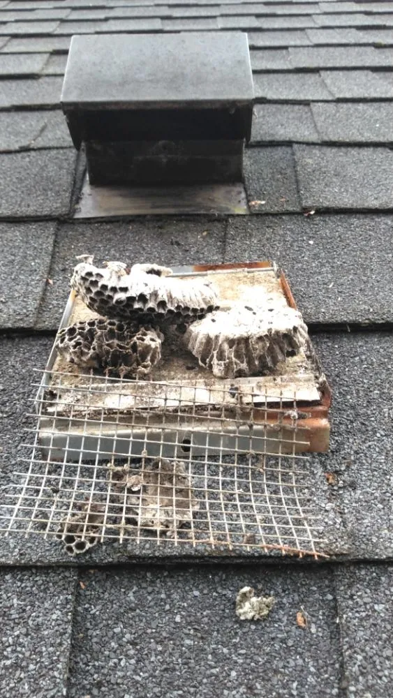 Slide of Meticulous Metal Roofing