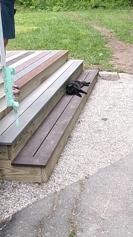 Slide of Meticulous Metal Roofing