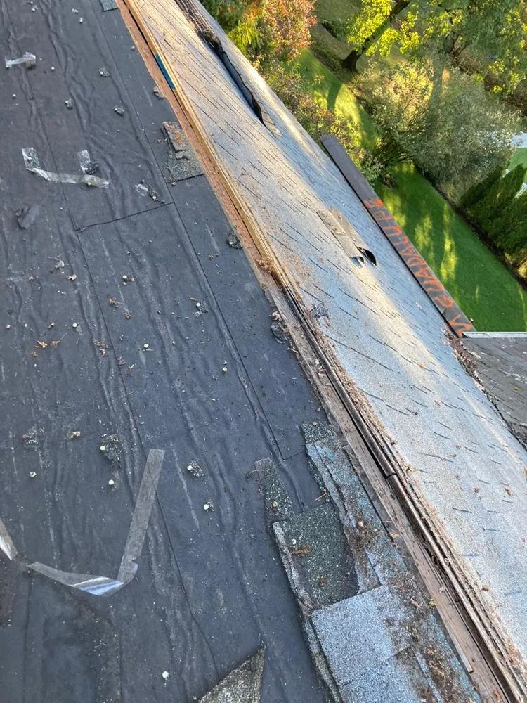 Slide of MGuadalupe Home Improvement