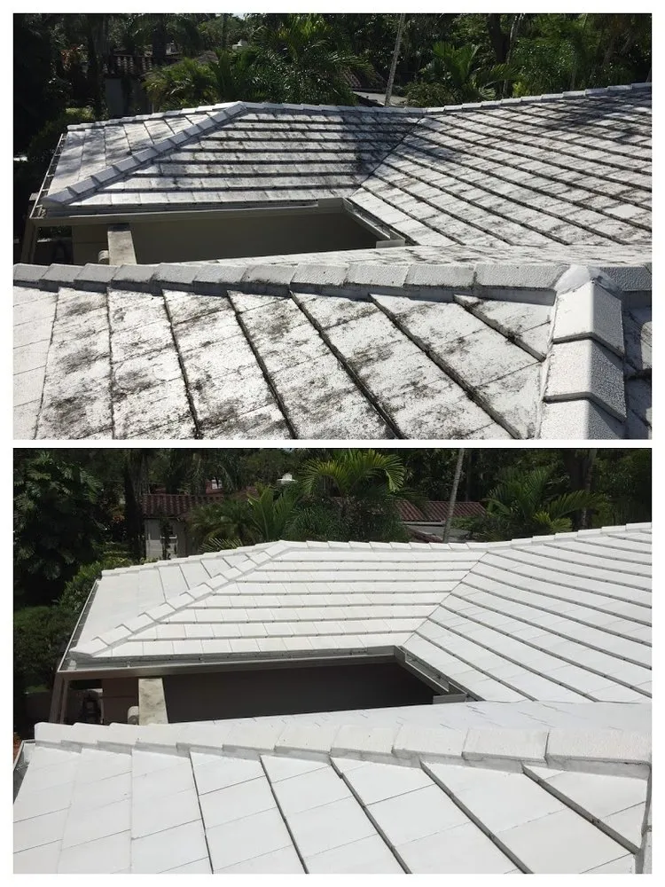 Slide of Miami Roof Cleaning Services