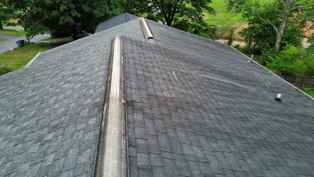 Slide of Miasanmia  Improvement