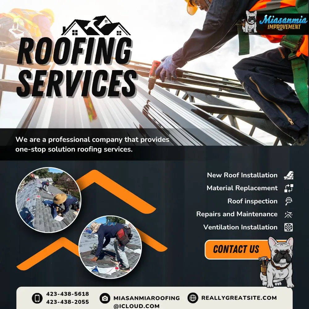 Slide of Miasanmia  Improvement