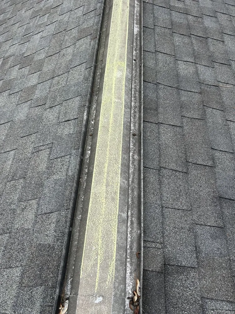 Slide of Miasanmia  Improvement