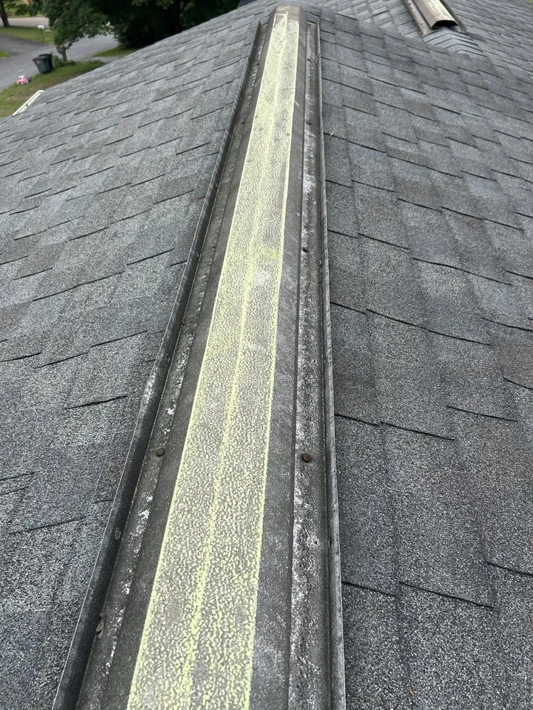 Slide of Miasanmia  Improvement