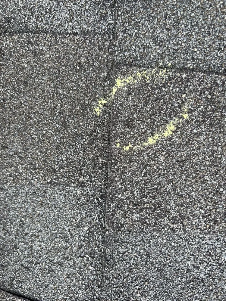 Slide of Miasanmia  Improvement