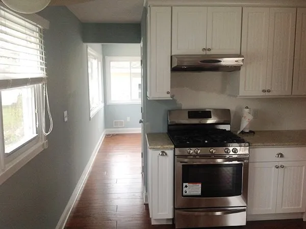 Slide of Michael A Dedominicis