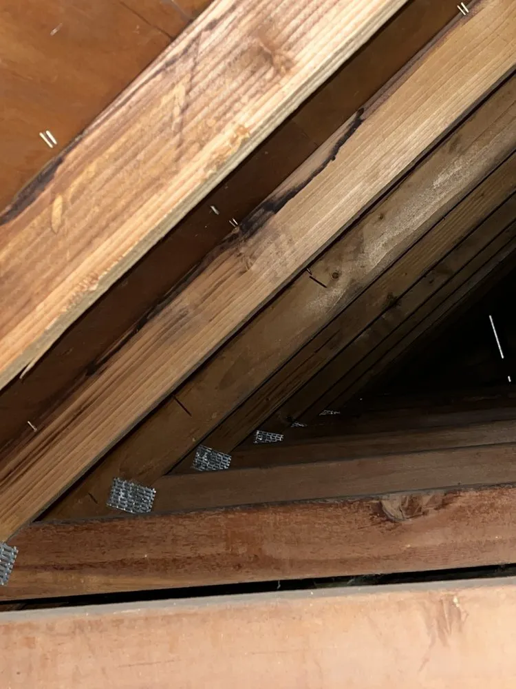 Slide of Michael Roofing and Tree Trimming