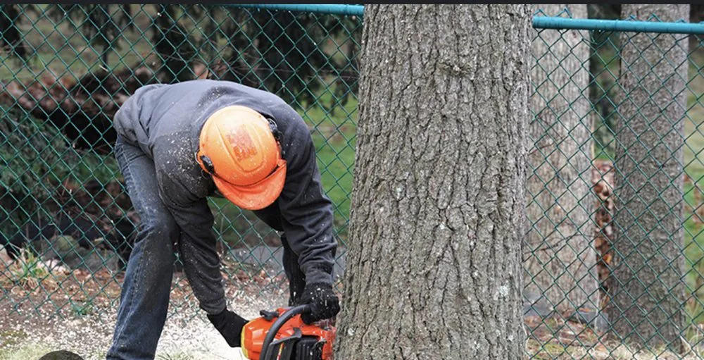 Slide of Michael Roofing and Tree Trimming