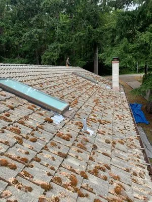 Michaels Roof Service