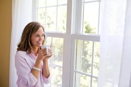 Slide of Michigan Window Companies