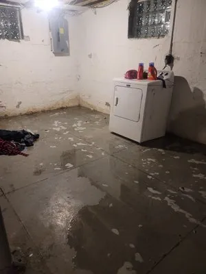 Midknight Owl Services Logo