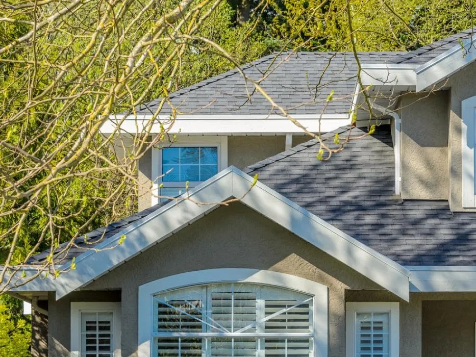Reliable roof leak repair with free inspection across Rose City, MI - Midnight Magic Construction
