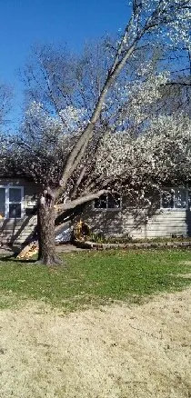 Emergency shingle roofing service in Ofallon, MO - Midwest Emergency Tarp Service