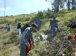 Slide of Midwest Shake & Shingle