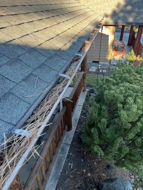 Slide of Mighty Dog Roofing