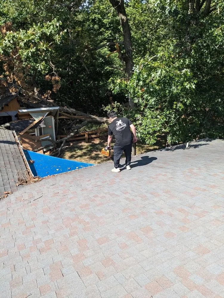 Slide of Mighty Dog Roofing