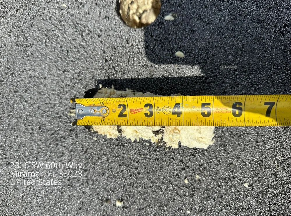 Slide of Mighty Dog Roofing Broward