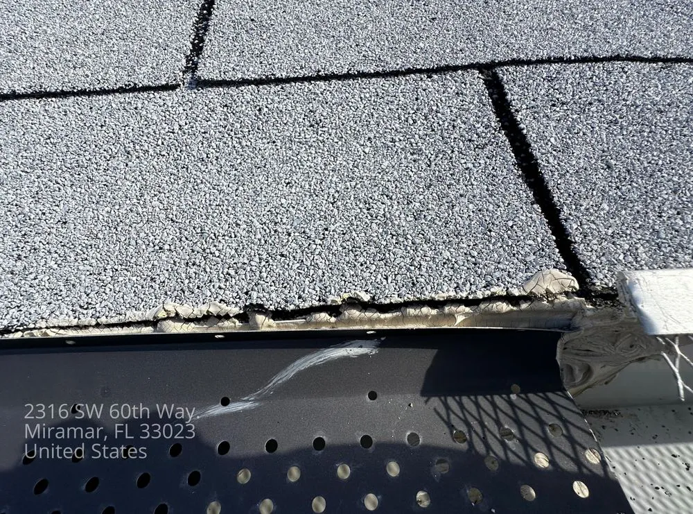 Slide of Mighty Dog Roofing Broward