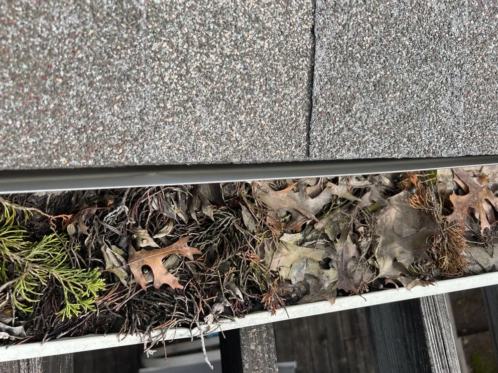 Slide of Mighty Dog Roofing