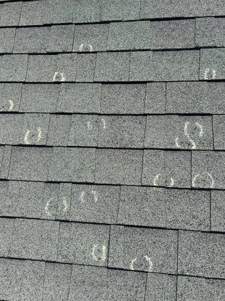 Slide of Mighty Dog Roofing