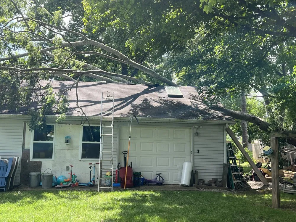 Slide of Mighty Dog Roofing