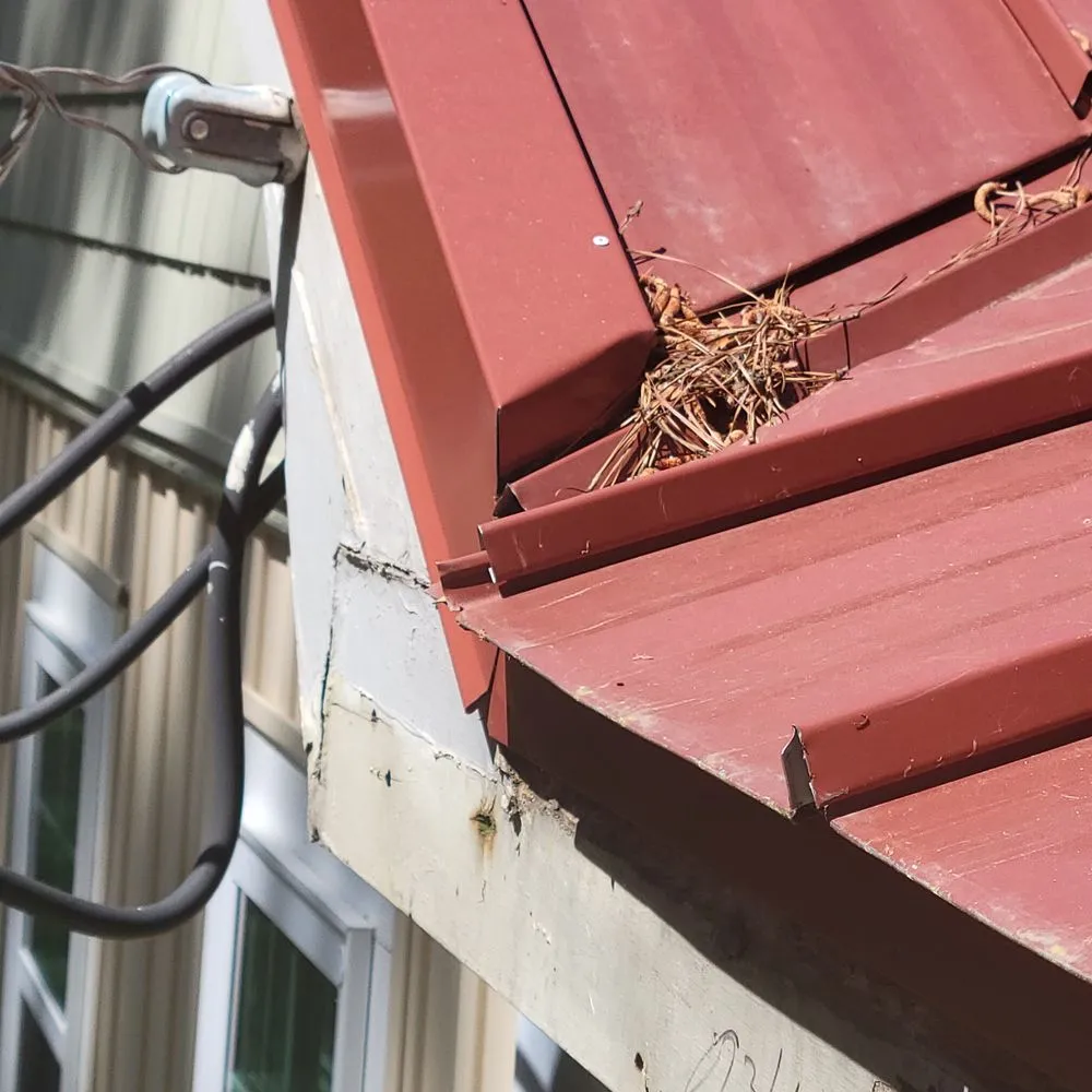 Slide of Mighty Dog Roofing