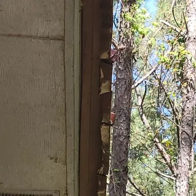 Mighty Dog Roofing Logo