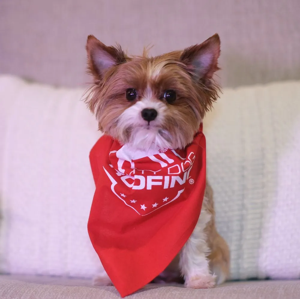 Slide of Mighty Dog Roofing