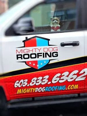 Mighty Dog Roofing