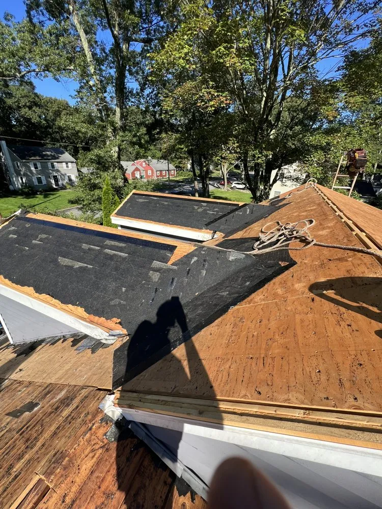 Slide of Mighty Dog Roofing