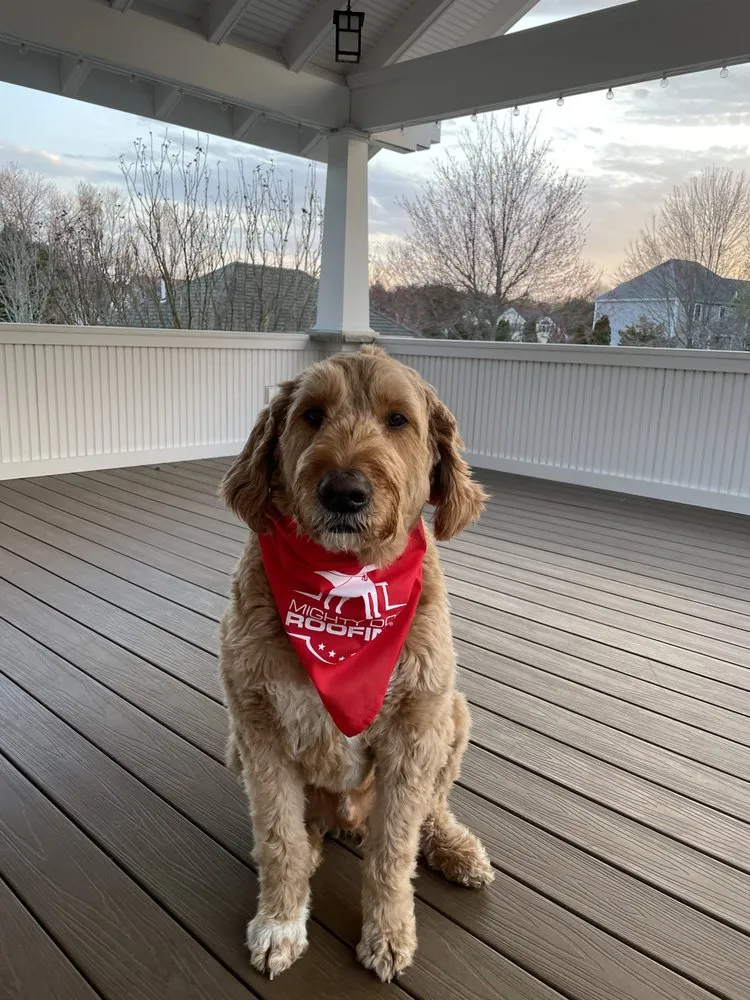 Slide of Mighty Dog Roofing