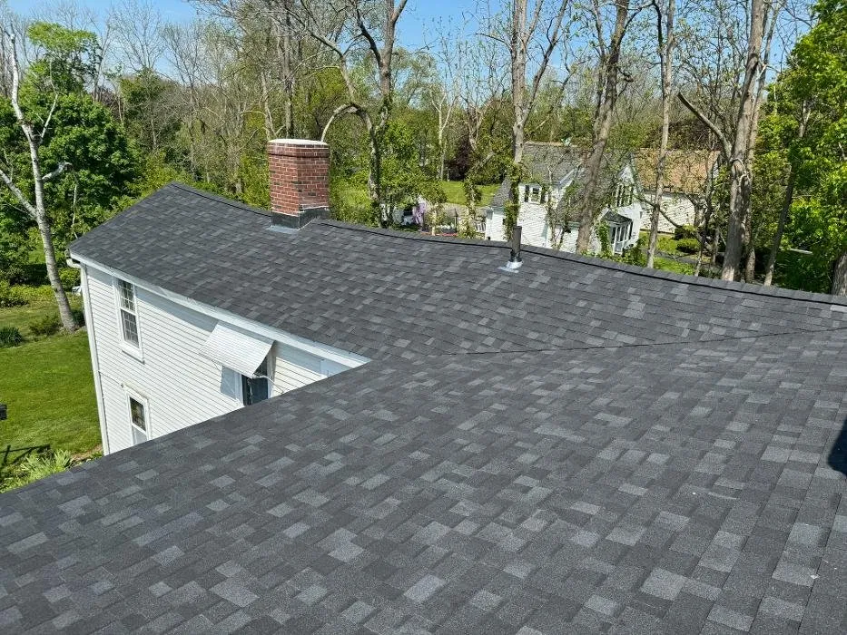 Slide of Mighty Dog Roofing