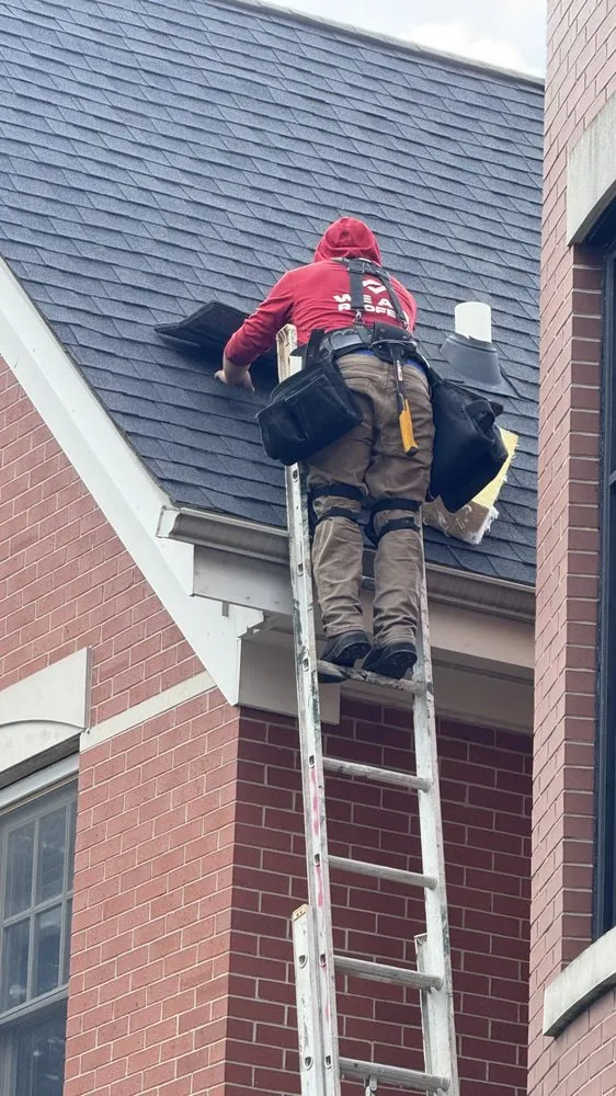 Slide of Mighty Dog Roofing