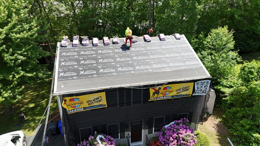 Slide of Mighty Dog Roofing